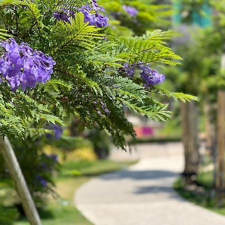 ゲストハウスあさひ Atami  Luaran gambar
